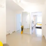 Livesto Zentral - 4x Moderne 2-zimmer 4-5-6 Pers Appartement 3*