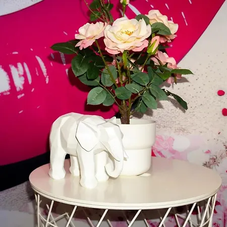 Livesto Aparthotel Zentral - 4X Moderne 2-Zimmer Apartments 4-5-6 Pers