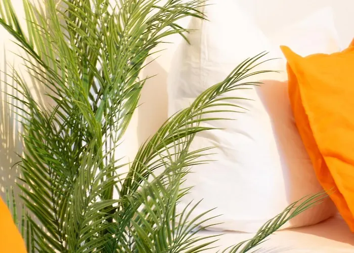 Livesto Zentral - 4x Moderne 2-zimmer 4-5-6 Pers 3*